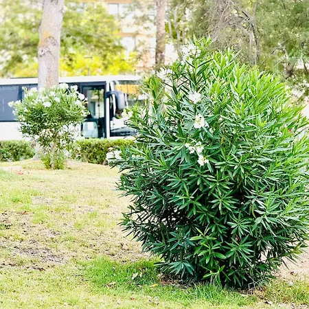 Amazing Space - 4 Bedroom Appartement Albufeira