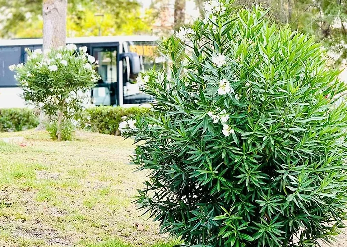 Amazing Space - 4 Bedroom 아파트 알부페이라